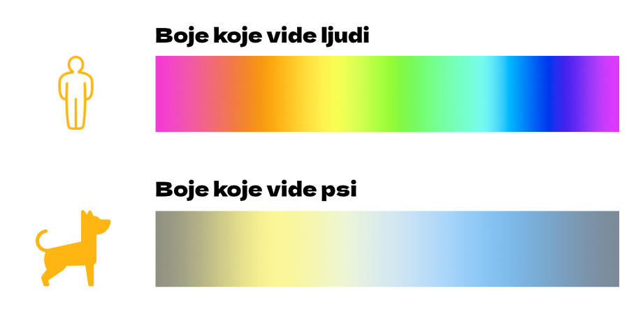 Boje koje vide psi i ljudi