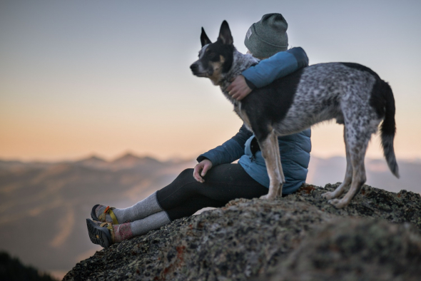 jačanje veze sa psom kroz planinarenje